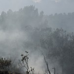El incendio llevaba unas tres horas activo, y el fuego y el humo, de densidad lentamente creciente, amenazaban con extenderse de los arbustos a los pinos.