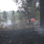 Otra imagen de la acción devastadora del fuego.