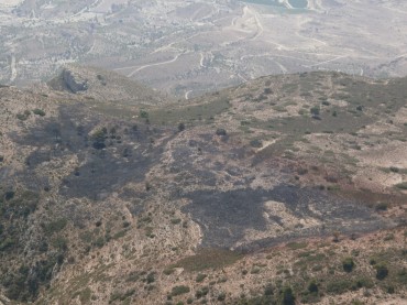 Se quemaron, según los datos de los bomberos, aproximadamente cuatro hectáreas.