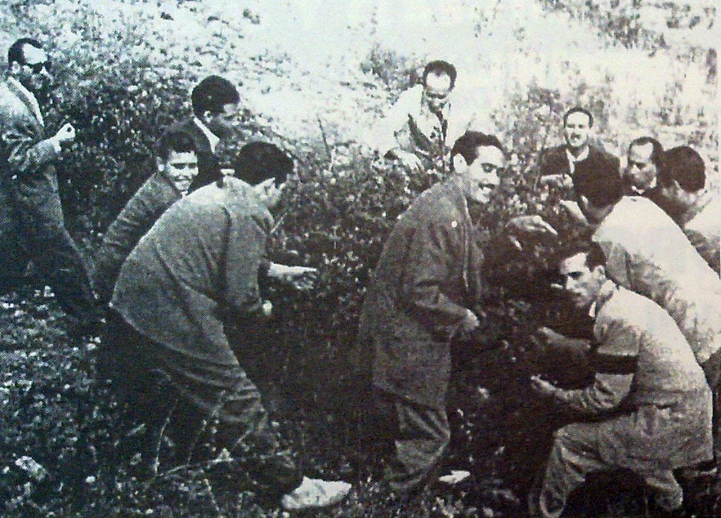 Año 1956. Grupo de amigos recogiendo moras en Madrid.