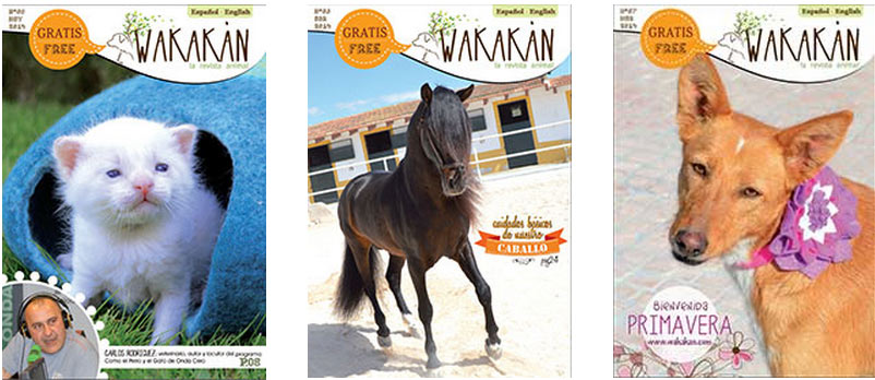 Conociendo Wakakán, la revista sobre animales domésticos   - Noticias de actualidad de Petrer y su comarca